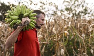 Câmara aprova uso de recursos do FGO em operações do Pronaf