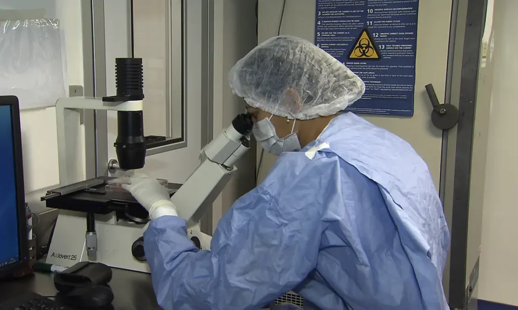 Como cientistas “curaram” infectados com HIV