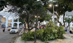 Vendaval ainda causa danos a moradores do Rio de Janeiro