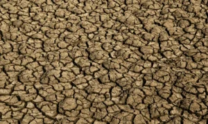 Desertificação no Brasil ameaça segurança hídrica e alimentar