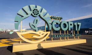 Estados do Nordeste tentam atrair investimentos para Caatinga na COP17